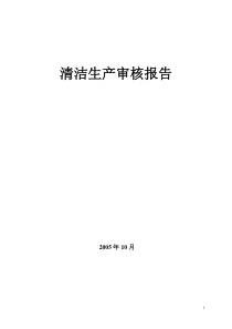 12天工清洁生产审核报告