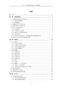 13袜子清洁生产审核报告