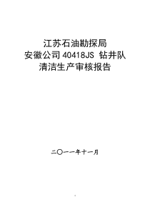 418清洁生产审核报告(最新的)