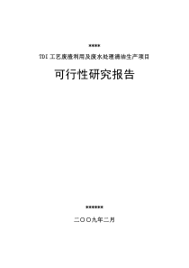 TDI工艺废渣利用及废水处理清洁生产项目可行性研究报告