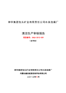 xx选煤厂清洁生产审核报告