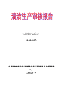 【03年】采油二队(3)原油开采单位清洁生产审核报告