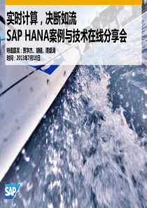 SAPHANA案例与技术在线分享会