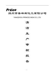 扬州市普林斯化工有限公司清洁生产审核报告