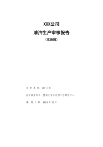 西药制药企业清洁生产审核报告