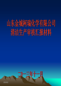 金城柯瑞化学有限公司公司清洁生产汇报材料5