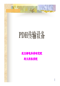 PDH设备