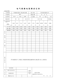 电气绝缘电阻测试记录