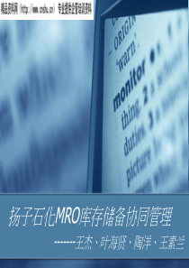 扬子石化MRO库存储备协同管理(PPT30页)