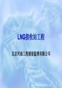 LNG接收站设备-卸料臂