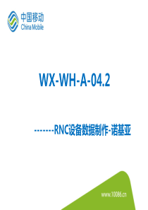 WX-WH-A-042(RNC设备数据制作-诺基亚)