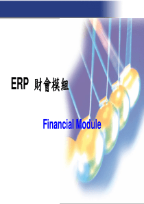 ERP财会模组（PPT 16页）