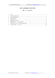 SAPIDES安装全攻略