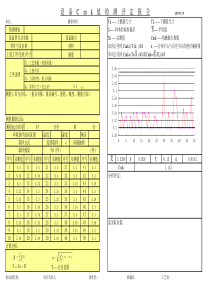 最新版本设备Cmk值检测评定报告