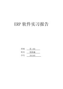 ERP软件实习报告（DOC41页）