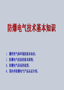 石化电气防爆及安全等级