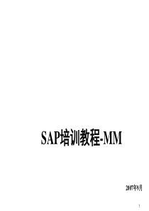 SAPMM标准培训课程1-概览培训VF