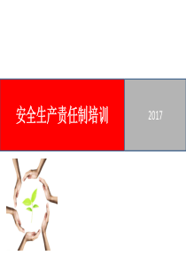 安全生产责任制培训（PPT46页)