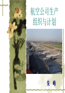 航空公司生产组织与计划