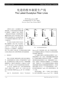 先进的桉木制浆生产线