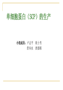 单细胞蛋白(SCP)的生产