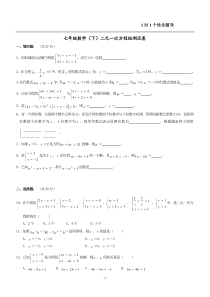 初一下册二元一次方程组提高测试卷(含答案)