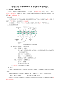 专题兴奋在神经纤维上传导过程中的电位变化