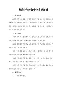 学校教师专业发展规划