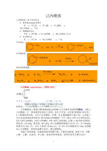 己内酰胺生产工艺