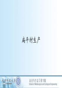 扁平材生产(XXXX新)