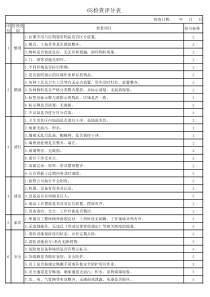 最新6S检查评分表