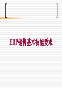 ERP销售基本技能要求