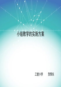 小组教学实施方案报告