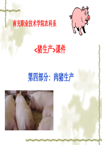 第三章肉猪生产