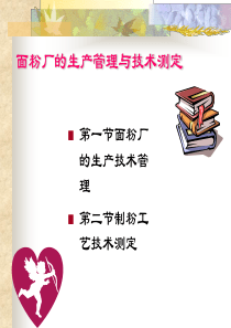 面粉厂的生产管理与（PPT71页)