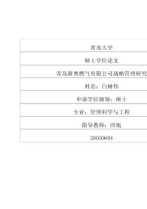 青岛新奥燃气有限公司战略管理研究