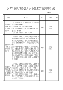 书记抓党建问题整改台账