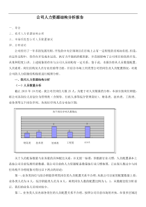 公司人力资源结构分析报告