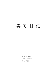 大学生苏宁实习日记30篇范文