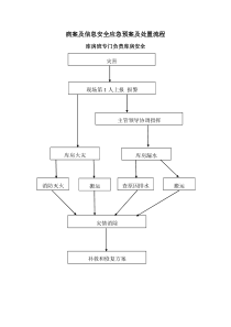 病案及信息安全应急预案及处置流程