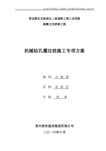 机械钻孔灌注桩专项施工方案