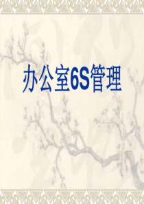 办公室6S管理.ppt