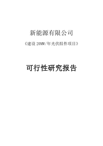 新能源有限公司太阳能光伏组件20MW项目可行性报告