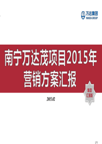 万达项目2015年度营销方案