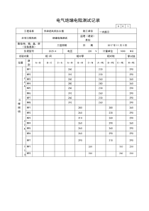 电气绝缘电阻测试记录