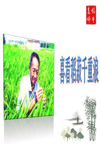 《喜看稻菽千重浪》(课件公开课).精讲