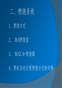 GE9FB燃机燃烧系统DLN2.6+燃烧器