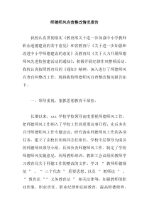 师德师风自查整改情况报告