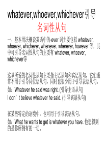 whatever等引导名词性从句和状语从句