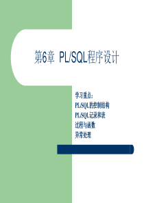 《Oracle 10g入门与提高》第6章：PL、SQL程序设计